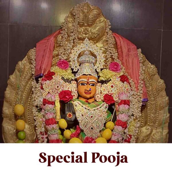 Vairavar Ashtami//Paal abishegam  | வைரவர் அஷ்டமி//பால் அபிஷேகம்